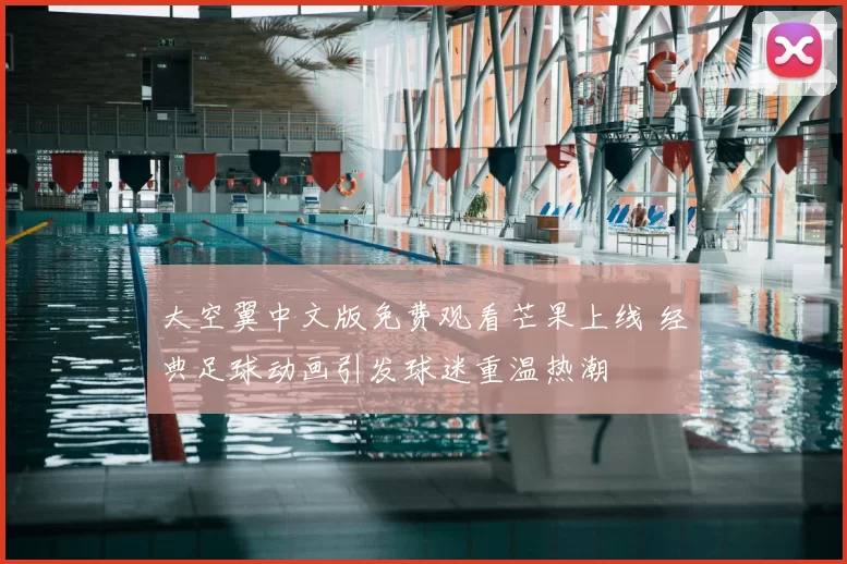 大空翼中文版免费观看芒果上线 经典足球动画引发球迷重温热潮