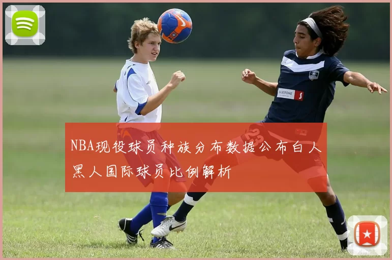 NBA现役球员种族分布数据公布白人黑人国际球员比例解析