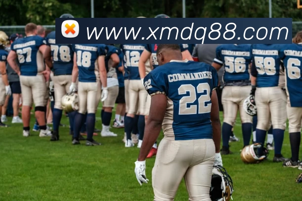 米乐网页版 - 米乐(中国)服务体系